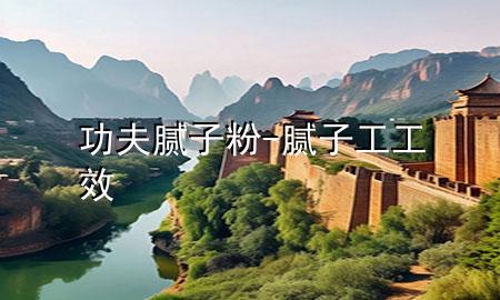 功夫腻子粉-腻子工工效