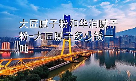 大匠腻子粉和华润腻子粉-大匠腻子多少钱一吨