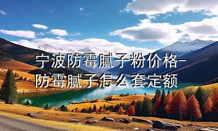 宁波防霉腻子粉价格-防霉腻子怎么套定额