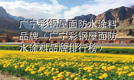 广宁彩钢屋面防水涂料品牌（广宁彩钢屋面防水涂料品牌排行榜）