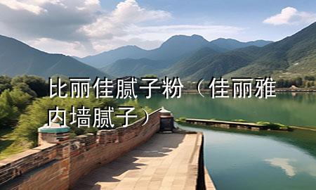 比丽佳腻子粉（佳丽雅内墙腻子）