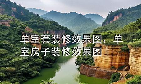 单室套装修效果图，单室房子装修效果图