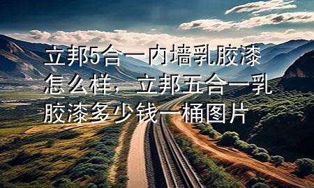 立邦5合一内墙乳胶漆怎么样，立邦五合一乳胶漆多少钱一桶图片