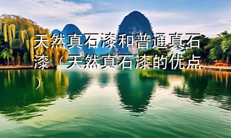天然真石漆和普通真石漆（天然真石漆的优点）