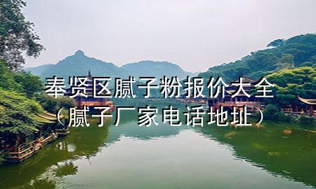 奉贤区腻子粉报价大全（腻子厂家电话地址）