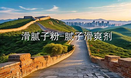 滑腻子粉-腻子滑爽剂