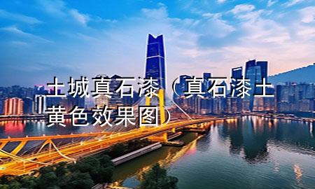 土城真石漆（真石漆土黄色效果图）