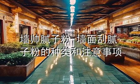 墙帅腻子粉-墙面刮腻子粉的种类和注意事项