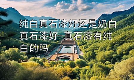 纯白真石漆好还是奶白真石漆好-真石漆有纯白的吗