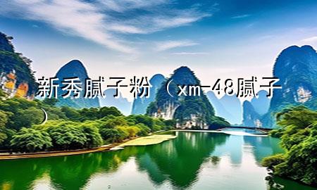 新秀腻子粉（xm-48腻子）