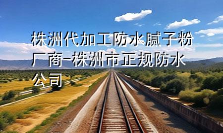 株洲代加工防水腻子粉厂商-株洲市正规防水公司