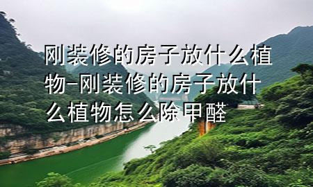 刚装修的房子放什么植物-刚装修的房子放什么植物怎么除甲醛