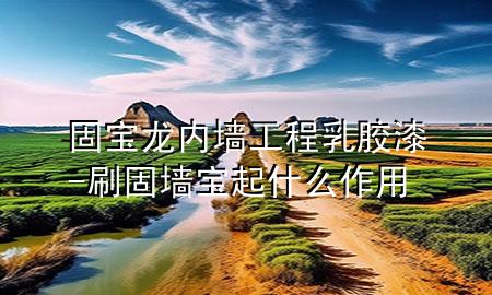 固宝龙内墙工程乳胶漆-刷固墙宝起什么作用