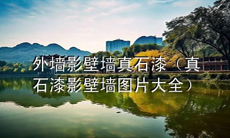外墙影壁墙真石漆（真石漆影壁墙图片大全）