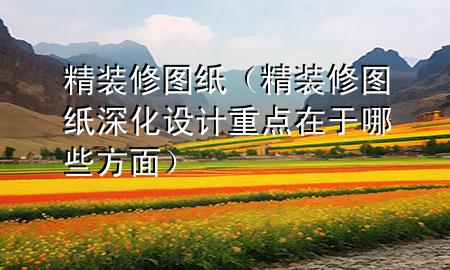 精装修图纸（精装修图纸深化设计重点在于哪些方面）