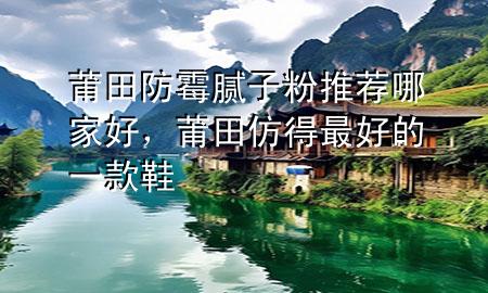 莆田防霉腻子粉推荐哪家好，莆田仿得最好的一款鞋