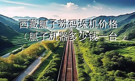 西藏腻子粉码垛机价格（腻子机器多少钱一台）
