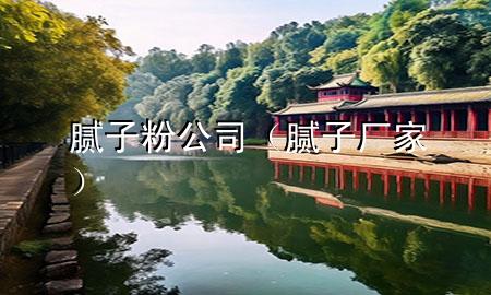 腻子粉 公司（腻子厂家）