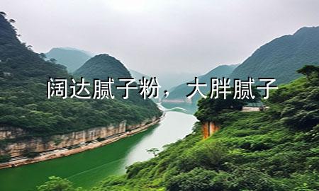 阔达腻子粉，大胖腻子