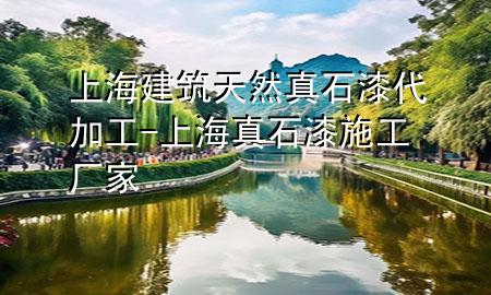 上海建筑天然真石漆代加工-上海真石漆施工厂家