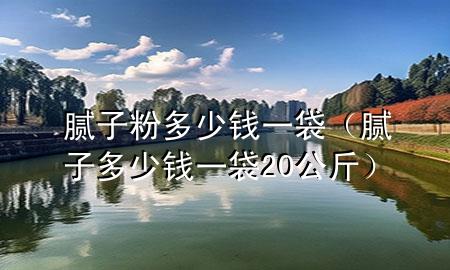 腻子粉多少钱一袋（腻子多少钱一袋20公斤）