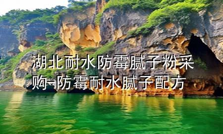 湖北耐水防霉腻子粉采购-防霉耐水腻子配方