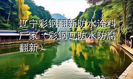 辽宁彩钢翻新防水涂料厂家（彩钢瓦防水防腐翻新）