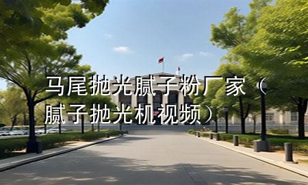 马尾抛光腻子粉厂家（腻子抛光机视频）