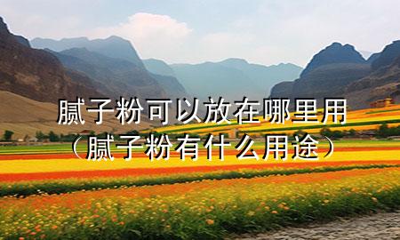 腻子粉可以放在哪里用（腻子粉有什么用途）