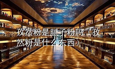 孜然粉是腻子粉吗（孜然粉是什么东西）