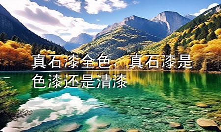 真石漆全色，真石漆是色漆还是清漆