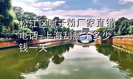 松江区腻子粉厂家直销电话-上海刮腻子多少钱一天