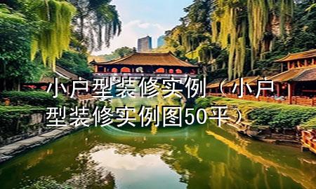 小户型装修实例（小户型装修实例图50平）