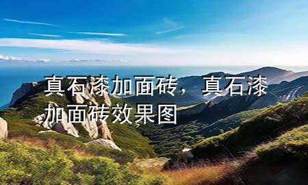真石漆加面砖，真石漆加面砖效果图