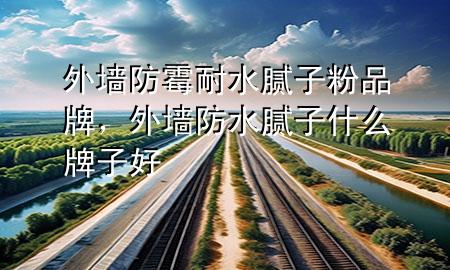 外墙防霉耐水腻子粉品牌，外墙防水腻子什么牌子好