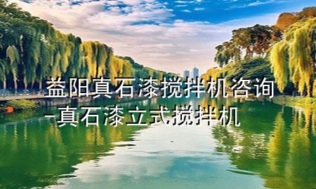 益阳真石漆搅拌机咨询-真石漆立式搅拌机