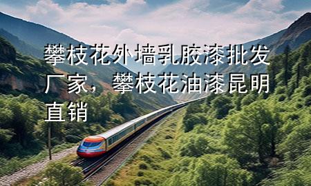 攀枝花外墙乳胶漆批发厂家，攀枝花油漆昆明直销