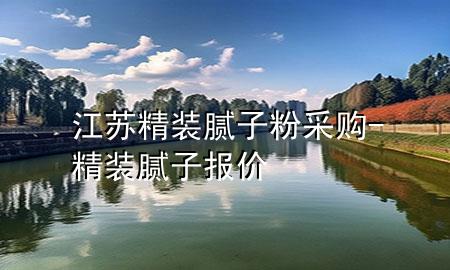 江苏精装腻子粉采购-精装腻子报价