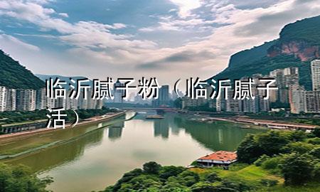 临沂 腻子粉（临沂腻子活）