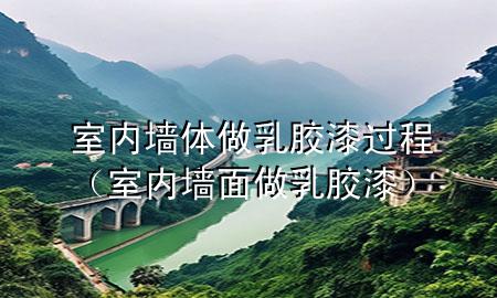 室内墙体做乳胶漆过程（室内墙面做乳胶漆）