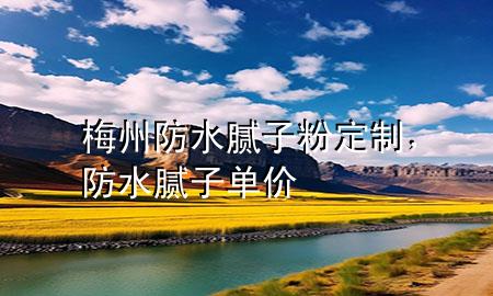 梅州防水腻子粉定制，防水腻子单价