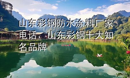 山东彩钢防水涂料厂家电话，山东彩钢十大知名品牌