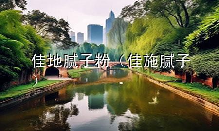 佳地腻子粉（佳施腻子）