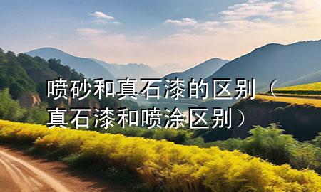 喷砂和真石漆的区别（真石漆和喷涂区别）