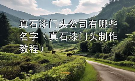 真石漆门头公司有哪些名字（真石漆门头制作教程）