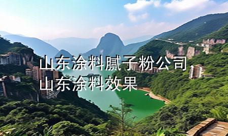 山东涂料腻子粉公司，山东涂料效果