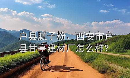 户县腻子粉，西安市户县甘亭建材厂怎么样?