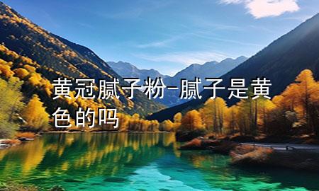 黄冠腻子粉-腻子是黄色的吗