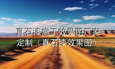 真石漆施工效果图厂家定制（真石漆 效果图）