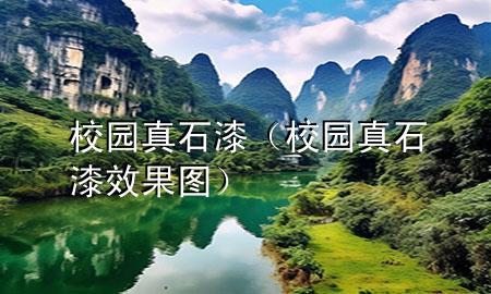 校园真石漆（校园真石漆效果图）